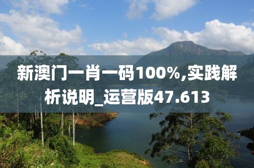 新澳门一肖一码100%,实践解析说明_运营版47.613