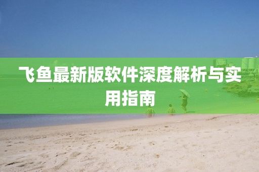 飞鱼最新版软件深度解析与实用指南