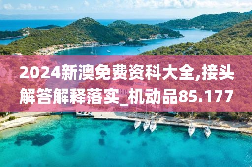 2024新澳免费资科大全,接头解答解释落实_机动品85.177