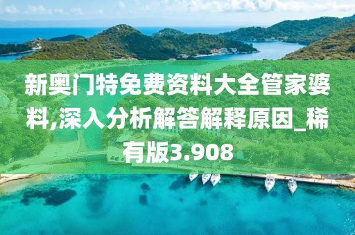 新奥门特免费资料大全管家婆料,深入分析解答解释原因_稀有版3.908