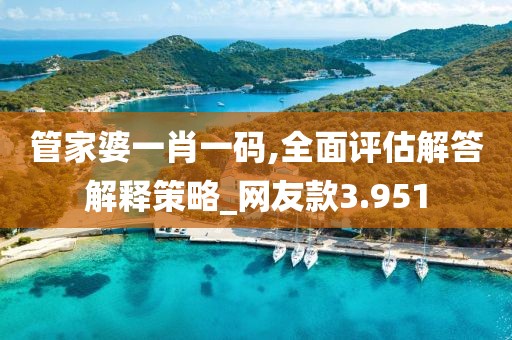 管家婆一肖一码,全面评估解答解释策略_网友款3.951