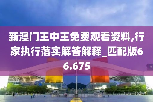 新澳门王中王免费观看资料,行家执行落实解答解释_匹配版66.675