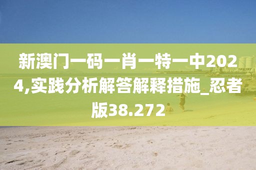 新澳门一码一肖一特一中2024,实践分析解答解释措施_忍者版38.272