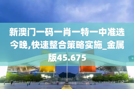 新澳门一码一肖一特一中准选今晚,快速整合策略实施_金属版45.675
