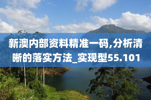 新澳内部资料精准一码,分析清晰的落实方法_实现型55.101