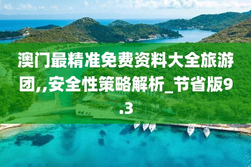 澳门最精准免费资料大全旅游团,,安全性策略解析_节省版9.3