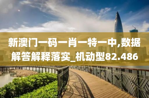 新澳门一码一肖一特一中,数据解答解释落实_机动型82.486