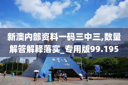 新澳内部资料一码三中三,数量解答解释落实_专用版99.195