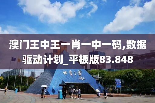 澳门王中王一肖一中一码,数据驱动计划_平板版83.848