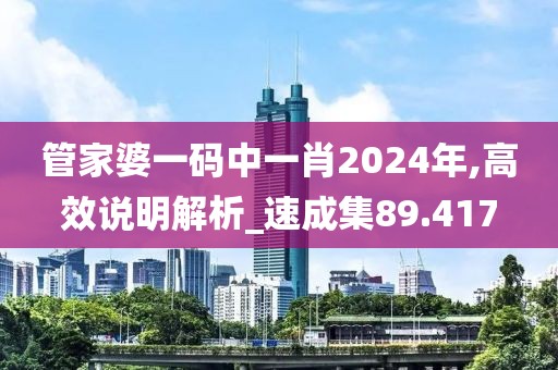 管家婆一码中一肖2024年,高效说明解析_速成集89.417