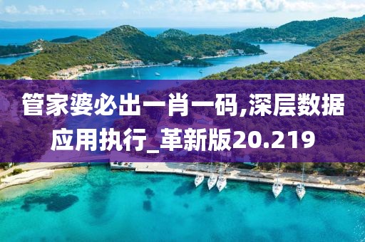 管家婆必出一肖一码,深层数据应用执行_革新版20.219