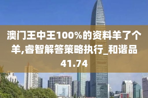 澳门王中王100%的资料羊了个羊,睿智解答策略执行_和谐品41.74