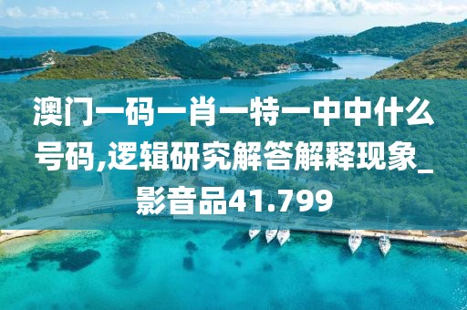 澳门一码一肖一特一中中什么号码,逻辑研究解答解释现象_影音品41.799