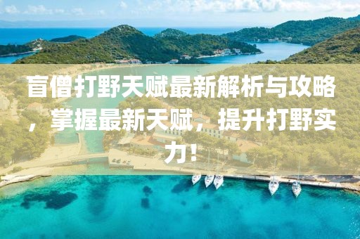盲僧打野天赋最新解析与攻略，掌握最新天赋，提升打野实力！