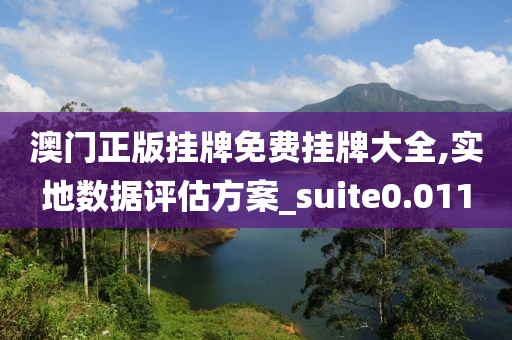澳门正版挂牌免费挂牌大全,实地数据评估方案_suite0.011