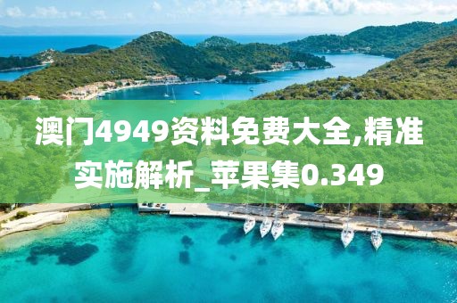 澳门4949资料免费大全,精准实施解析_苹果集0.349