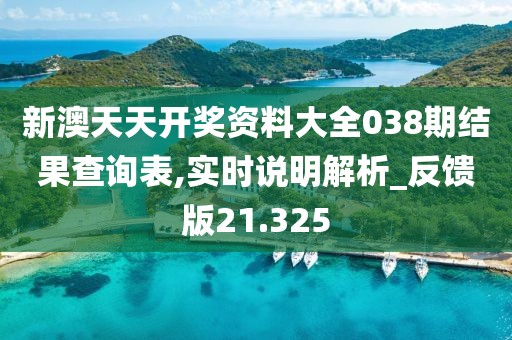 新澳天天开奖资料大全038期结果查询表,实时说明解析_反馈版21.325