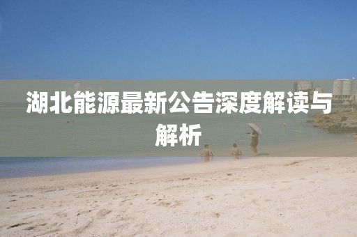 湖北能源最新公告深度解读与解析