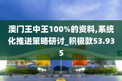 澳门王中王100%的资料,系统化推进策略研讨_积极款53.935