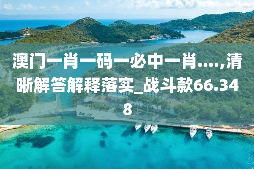 澳门一肖一码一必中一肖....,清晰解答解释落实_战斗款66.348