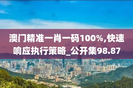 澳门精准一肖一码100%,快速响应执行策略_公开集98.87