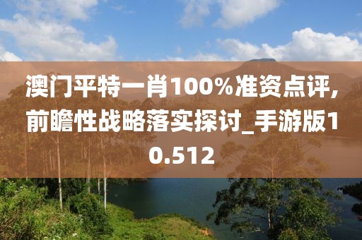 澳门平特一肖100%准资点评,前瞻性战略落实探讨_手游版10.512