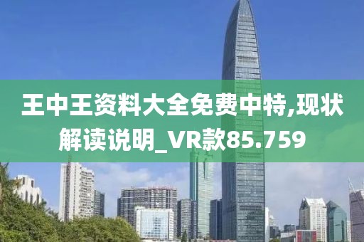 王中王资料大全免费中特,现状解读说明_VR款85.759