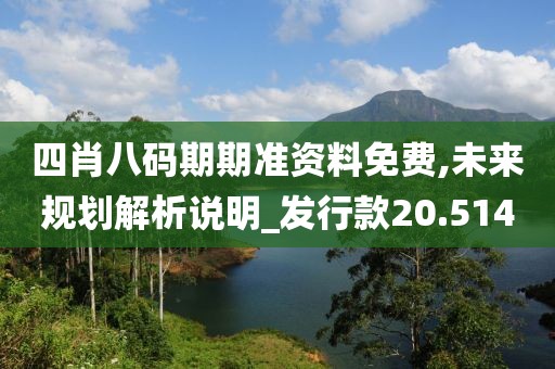 四肖八码期期准资料免费,未来规划解析说明_发行款20.514