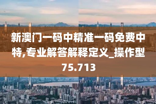 新澳门一码中精准一码免费中特,专业解答解释定义_操作型75.713