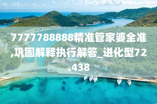 7777788888精准管家婆全准,巩固解释执行解答_进化型72.438