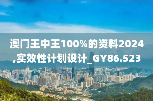 澳门王中王100%的资料2024,实效性计划设计_GY86.523
