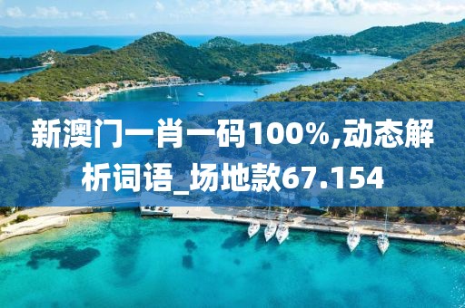 新澳门一肖一码100%,动态解析词语_场地款67.154