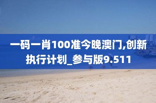 一码一肖100准今晚澳门,创新执行计划_参与版9.511