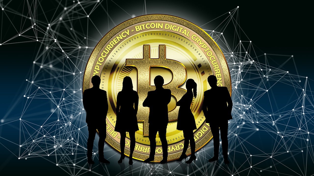 磁力猫，探索最新技术与文化融合之美