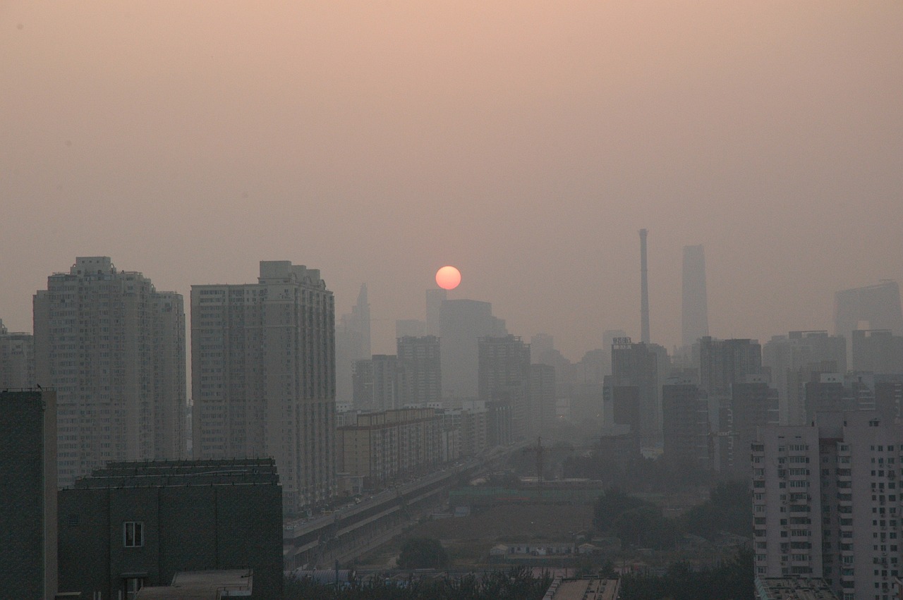 仪征化纤最新二手房市场概览与购房指南