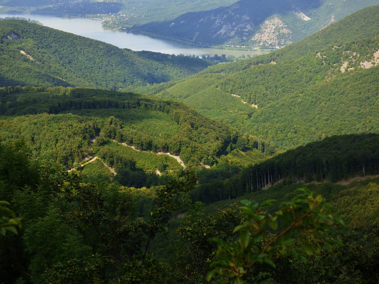臧山雁 第5页
