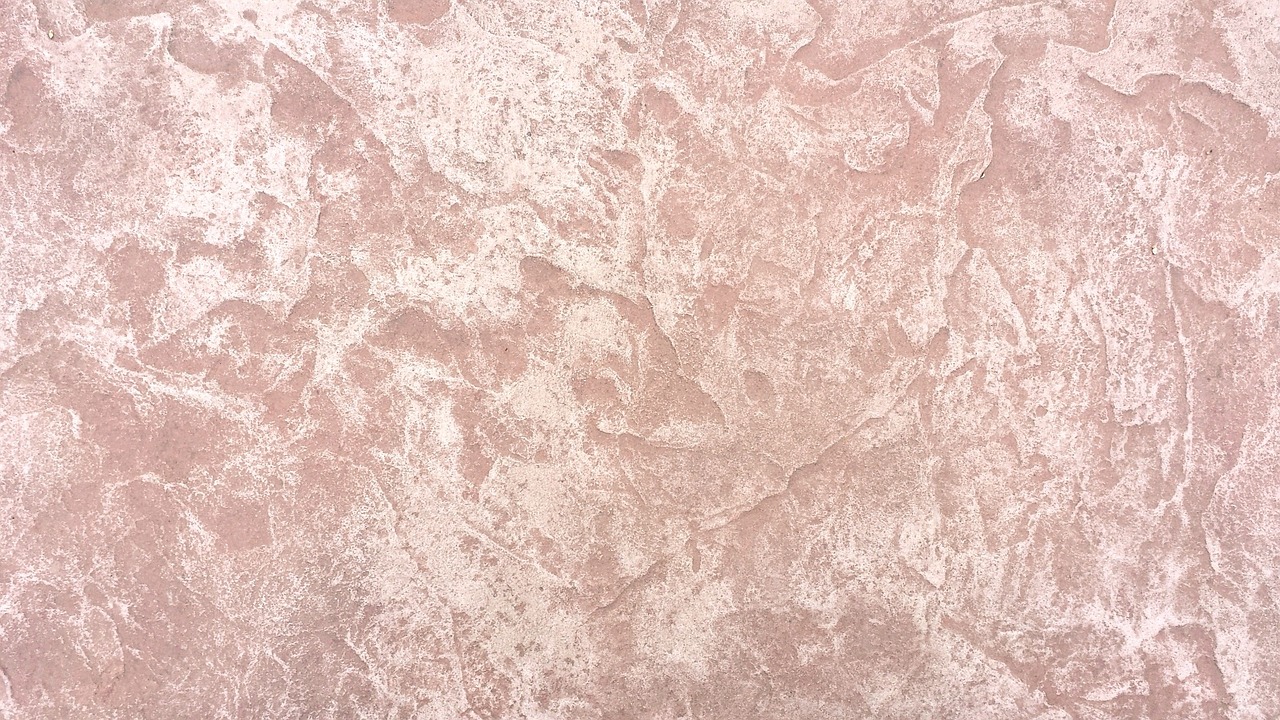 图门清心 第3页