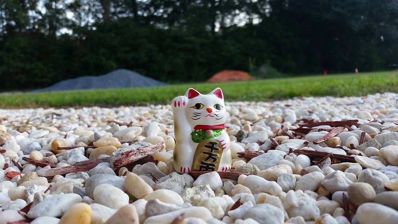 辛集地区最新招聘信息概览（XXXX年），全面解析辛集最新招聘动态